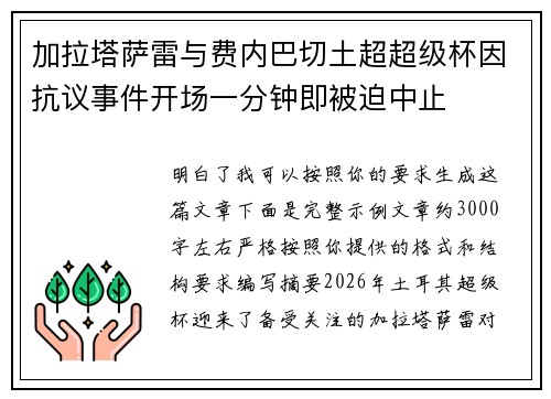 加拉塔萨雷与费内巴切土超超级杯因抗议事件开场一分钟即被迫中止 加拉塔萨雷与费内巴切土超超级杯因抗议事件开场一分钟即被迫中止